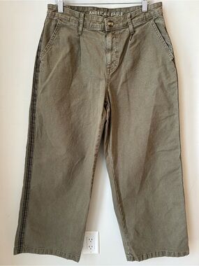 American Eagle Wide Leg Crop Pants Olive Stripe Side Panel Size 6 Gorpcore